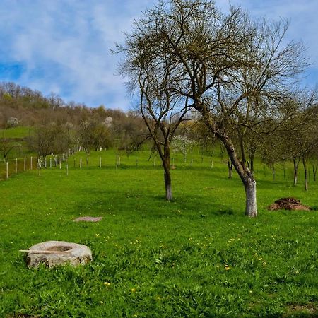 Bustea 2 Villa Hartagani Bagian luar foto